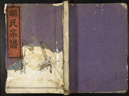 浙江胡氏族谱-安定胡氏宗谱.pdf电子版缩略图