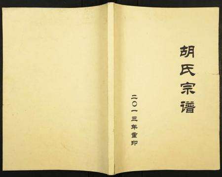 浙江胡氏族谱-安定胡氏宗谱.pdf电子版缩略图