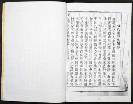 浙江胡氏族谱-安定胡氏宗谱.pdf电子版预览图2