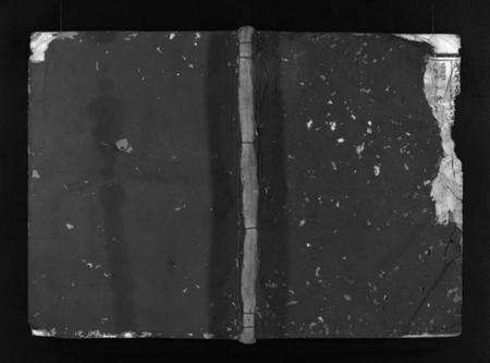 浙江胡氏族谱-安定胡氏宗谱 [8卷].pdf电子版预览图1