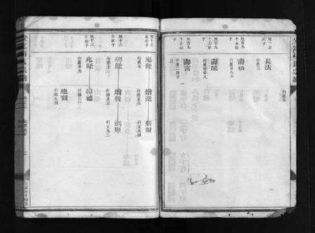 浙江胡氏族谱-安定胡氏宗谱 [8卷].pdf电子版预览图3