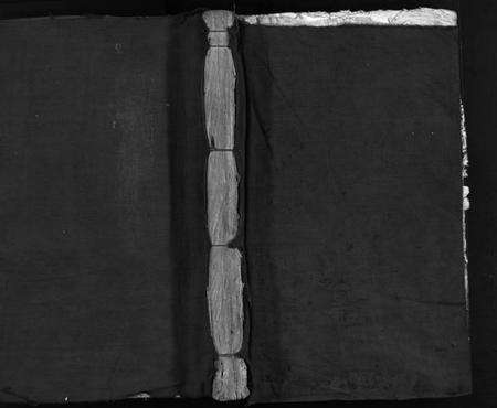 浙江胡氏族谱-安定胡氏宗谱 [不分卷].pdf电子版预览图1