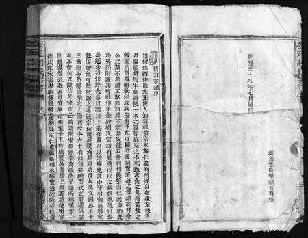 浙江胡氏族谱-安定胡氏宗谱 [不分卷].pdf电子版预览图5