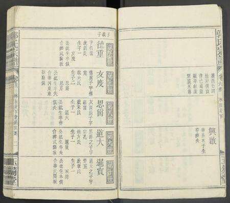 湖南郭氏族谱-郭氏宗谱 [残卷].pdf电子版预览图2