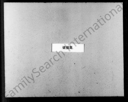 浙江胡氏族谱-安定胡氏族谱.pdf电子版预览图2