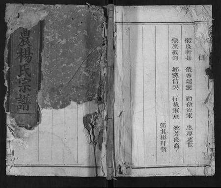 浙江杨氏族谱-宏农杨氏宗谱[2卷].pdf电子版缩略图