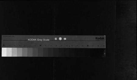 浙江陈氏族谱-官桥陈氏罗塘信房宗谱 [残卷].pdf电子版缩略图