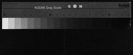 浙江陈氏族谱-官桥陈氏罗塘文房宗谱.pdf电子版缩略图
