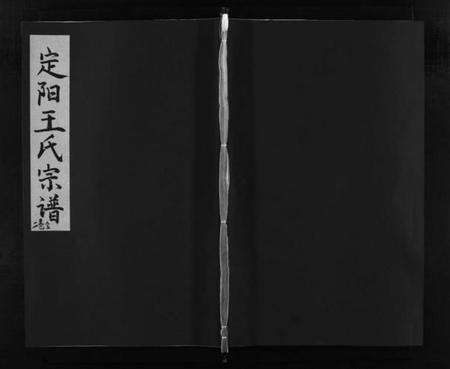浙江王氏族谱-定阳王氏宗谱 [2卷].pdf电子版预览图1