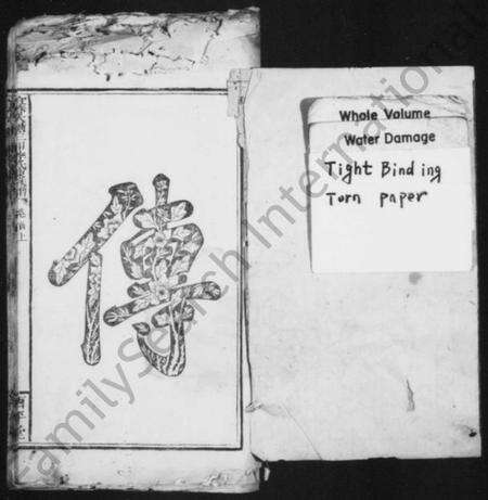 浙江李氏族谱-宜春大塘三甲李氏东族谱 [残卷].pdf电子版预览图2