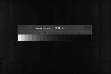 浙江叶氏族谱-富塘叶氏宗谱 [不分卷].pdf电子版缩略图