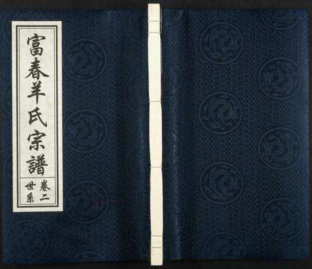 浙江羊氏族谱-富春羊氏宗谱.pdf电子版缩略图