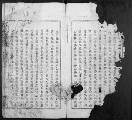 江西戴氏族谱-戴氏重修族谱[不分卷].pdf电子版预览图1