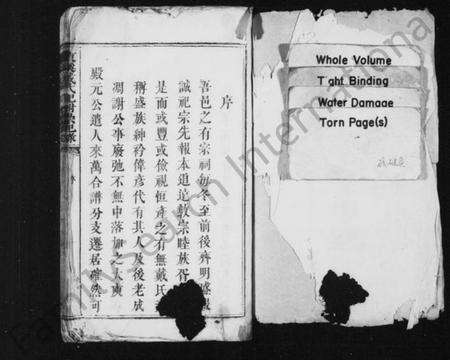 江西戴氏族谱-东溪戴氏配祔崇祀录.pdf电子版预览图2