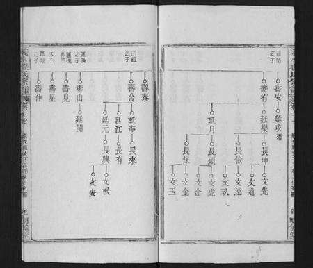 湖北程氏族谱-义水程氏宗谱 湖北罗田.pdf电子版预览图5