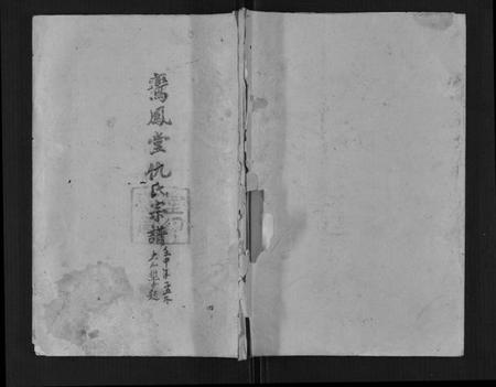 江苏仇氏族谱-鸾凤堂仇氏宗谱[不分卷].pdf电子版缩略图