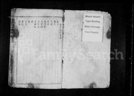 湖南何氏族谱-江头何氏族谱.pdf电子版预览图2