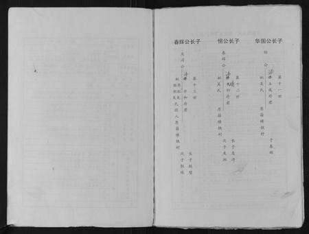 江苏从氏族谱-清廉堂从氏修立支谱.pdf电子版预览图4