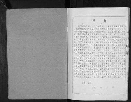 湖北从氏族谱-从氏宗谱[不分卷].pdf电子版预览图1