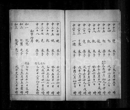 浙江吕氏族谱-山阴新和里吕氏宗谱.pdf电子版预览图5