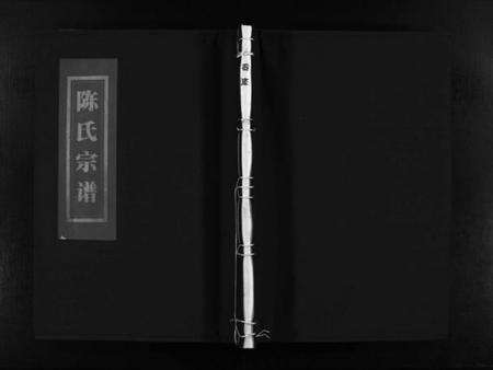 浙江陈氏族谱-岙底陈氏宗谱 [不分卷].pdf电子版预览图1