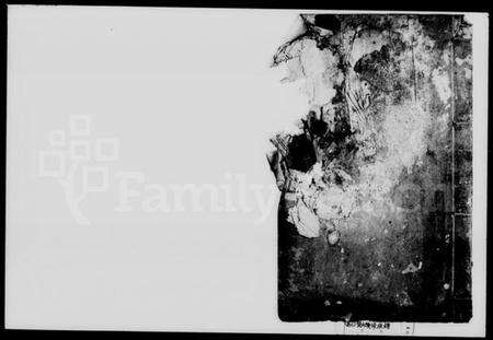 湖南贺氏族谱-贺氏续修族谱.pdf电子版预览图1