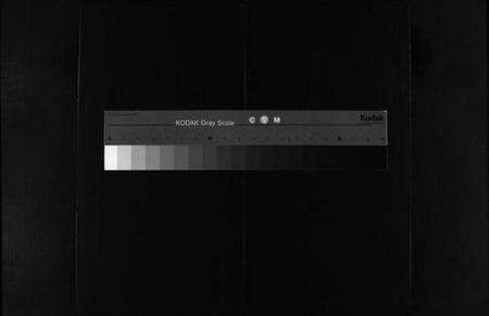 浙江陈氏族谱-峨山陈氏宗谱 [卷数杂异].pdf电子版缩略图