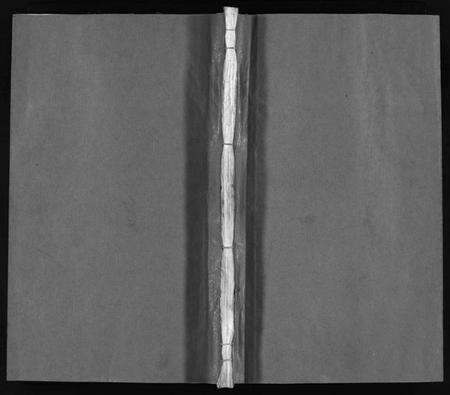 浙江陈氏族谱-峨山陈氏宗谱 [卷数杂异].pdf电子版预览图1