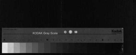 浙江杜氏族谱-岘北杜氏白塔房谱志 [2卷].pdf电子版缩略图