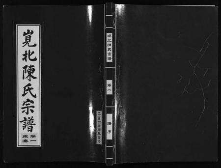 浙江陈氏族谱-岘北陈氏宗谱 [10卷].pdf电子版预览图1