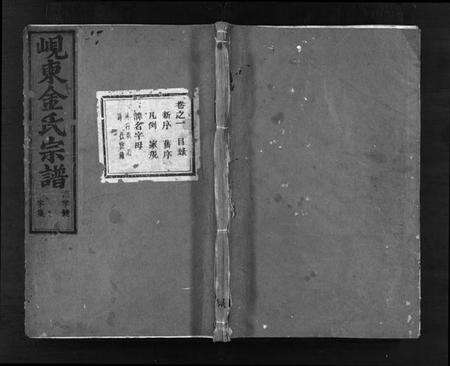 浙江金氏族谱-岘东金氏宗谱 [8卷].pdf电子版预览图1