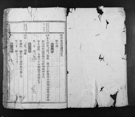 浙江金氏族谱-岘西金氏宗谱.pdf电子版预览图1