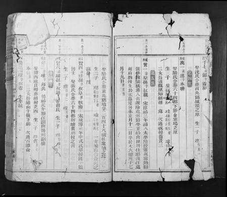 浙江金氏族谱-岘西金氏宗谱.pdf电子版预览图2