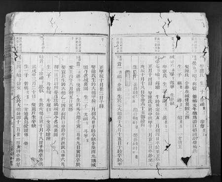 浙江金氏族谱-岘西金氏宗谱.pdf电子版预览图3