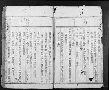 浙江金氏族谱-岘西金氏宗谱.pdf电子版预览图4