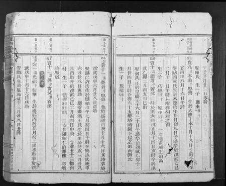 浙江金氏族谱-岘西金氏宗谱.pdf电子版预览图5