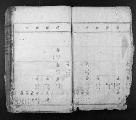 浙江金氏族谱-岘西金氏宗谱.pdf电子版预览图1