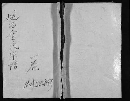 浙江金氏族谱-岘西金氏宗谱 [残卷].pdf电子版预览图1