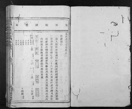 浙江金氏族谱-岘西金氏家谱 [46卷].pdf电子版预览图1