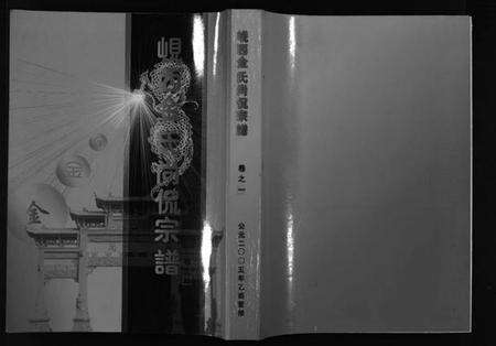 浙江金氏族谱-岘西金氏尚侃宗谱 [5卷].pdf电子版预览图1