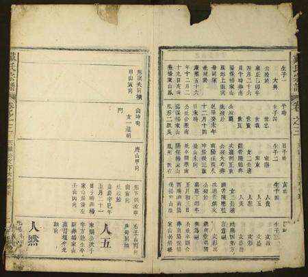 湖北戴氏族谱-戴氏宗谱.pdf电子版预览图2