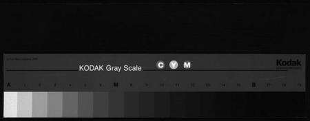 浙江潘氏族谱-崑阳潘氏宗谱 [10卷].pdf电子版缩略图
