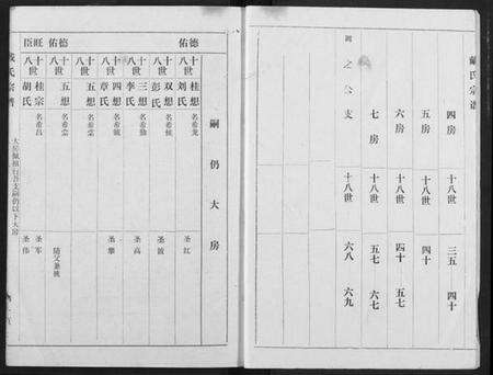 湖北戴氏族谱-戴氏宗谱.pdf电子版预览图2