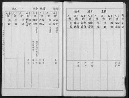 湖北戴氏族谱-戴氏宗谱.pdf电子版预览图4