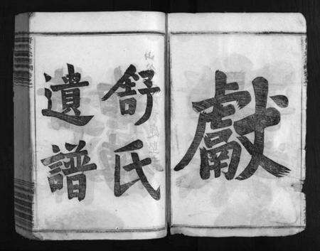 浙江舒氏族谱-嵩山舒氏宗谱 [6卷].pdf电子版预览图4