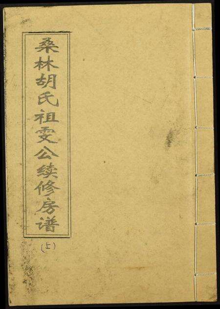 湖南胡氏族谱-桑林胡氏祖雯公续修房谱.pdf电子版缩略图