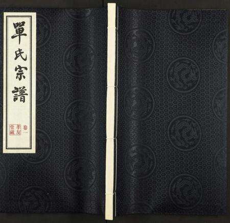 江苏单氏族谱-江南单氏大统宗谱 [12卷].pdf电子版缩略图