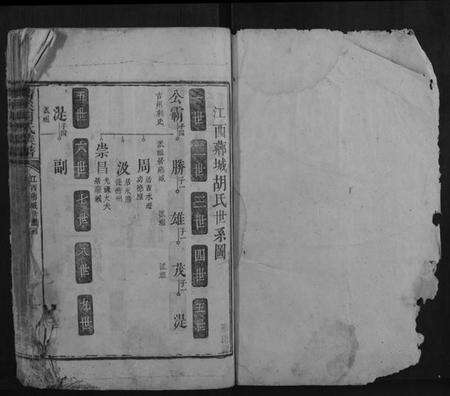 湖南胡氏族谱-清溪胡氏族谱.pdf电子版预览图1