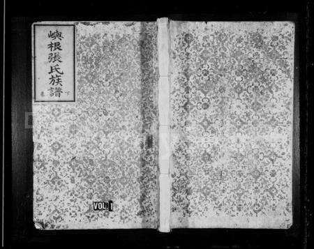 浙江张氏族谱-屿根张氏族谱.pdf电子版预览图1