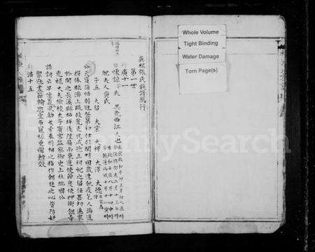 浙江张氏族谱-屿根张氏族谱.pdf电子版预览图2